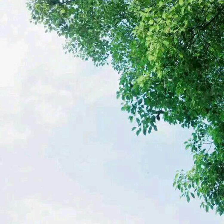 上田茂 - 体育精华回放在线观看 - 网页影视